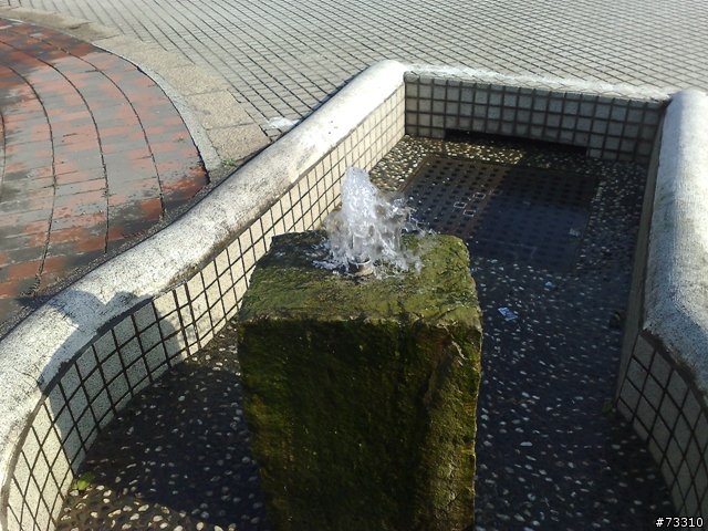 兄勇弟猛之對決外校生之白天發生的事............By  福祿壽