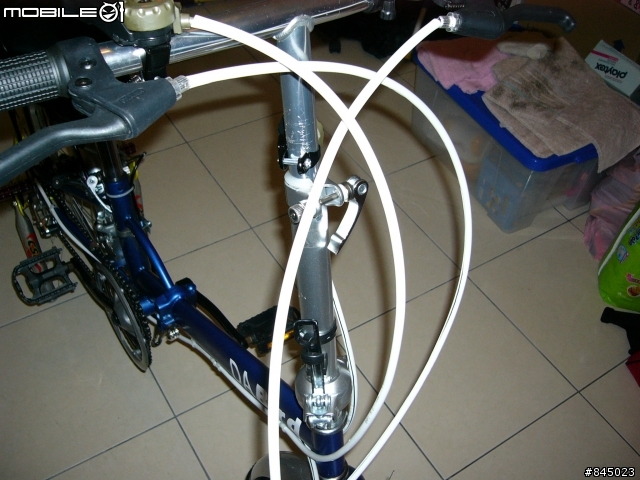 網購20吋土砲小折改裝 part 5  開開玩笑篇 DAHON+Birdy=?