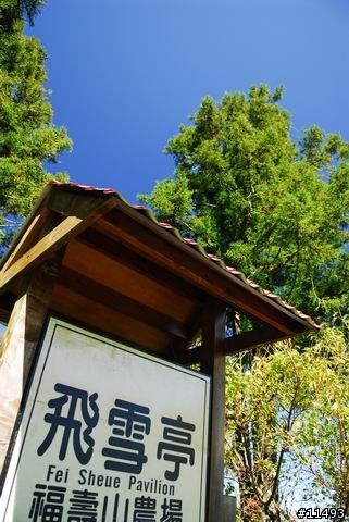 [ 秋 ] 福壽山之旅