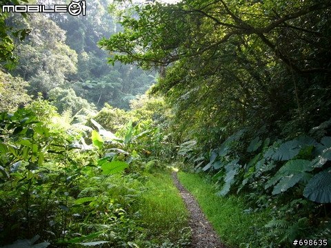 在西坑林道渡過一個悠閒的午後