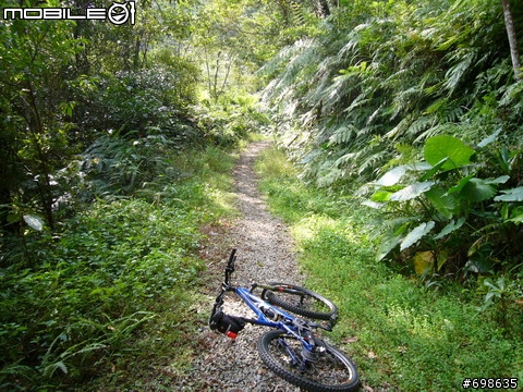 在西坑林道渡過一個悠閒的午後