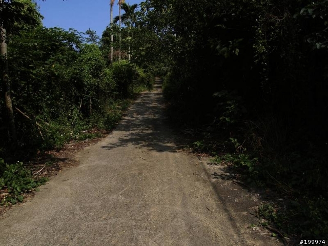 [心得]-路線分享-八卦山-楊桃崎