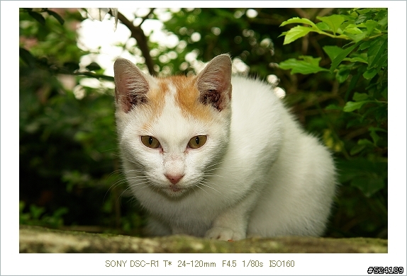 逐漸知道自己想要拍的是什麼