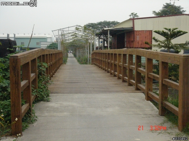 大寮花海.鄰近景點.路線分享