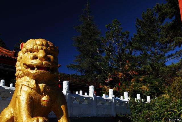[ 秋 ] 福壽山之旅