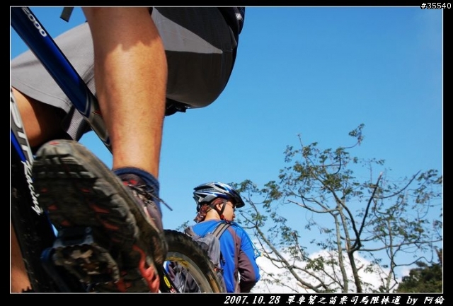 台灣之美-司馬限林道初體驗