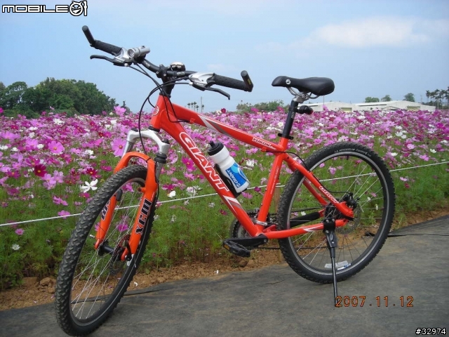 台中太原車站至新社花海之遊36km