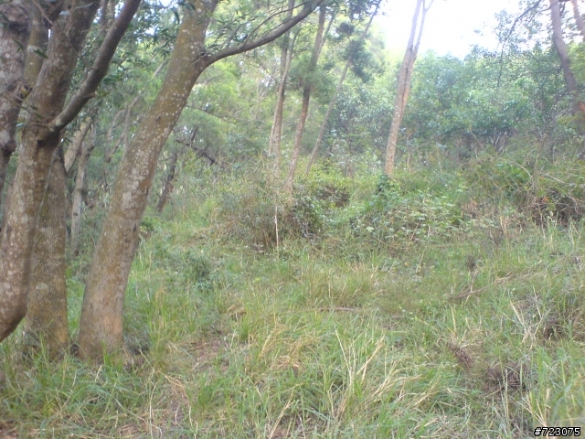 體驗off-road~"超輕度"等級