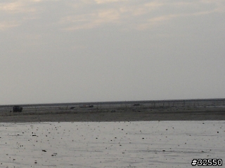 [試拍]Sony DSC-T2 VS Sony DSC-W1