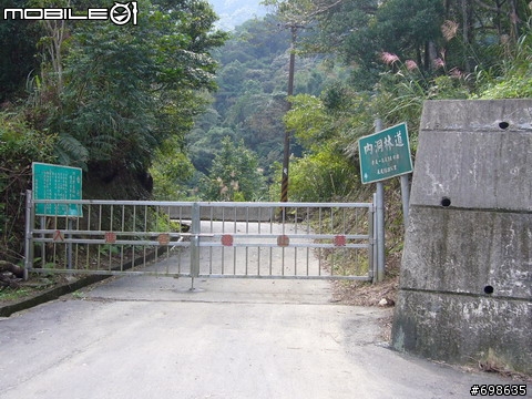 在西坑林道渡過一個悠閒的午後