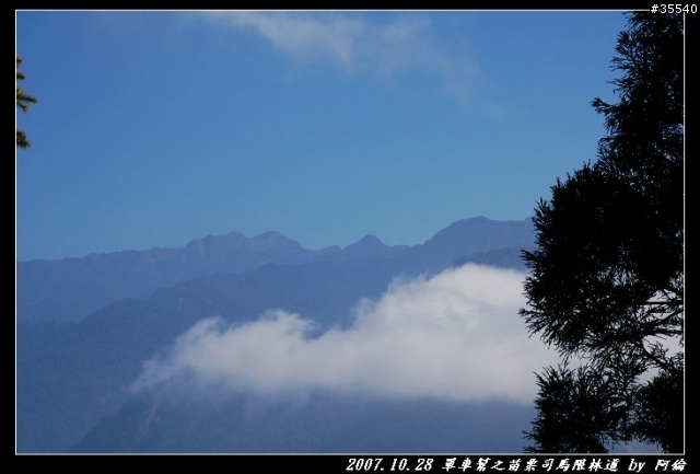 台灣之美-司馬限林道初體驗