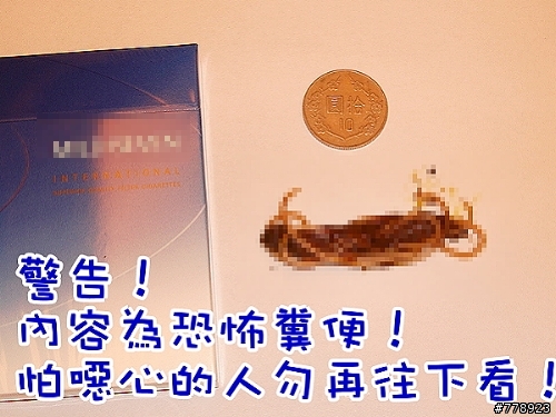 恐怖 + 噁心 → 膽小勿近！女友的馬爾濟斯驅蟲後的排便照片！