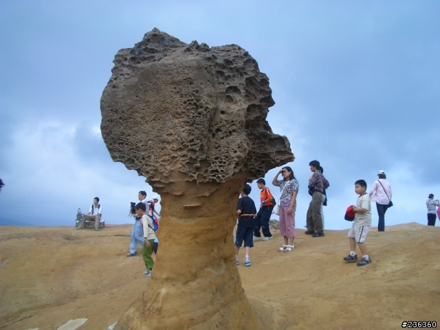 野柳的女王頭???<---這顆是女王頭嗎???尋找真相~
