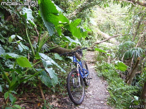 在西坑林道渡過一個悠閒的午後