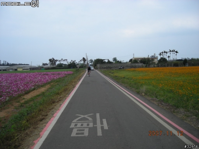 台中太原車站至新社花海之遊36km