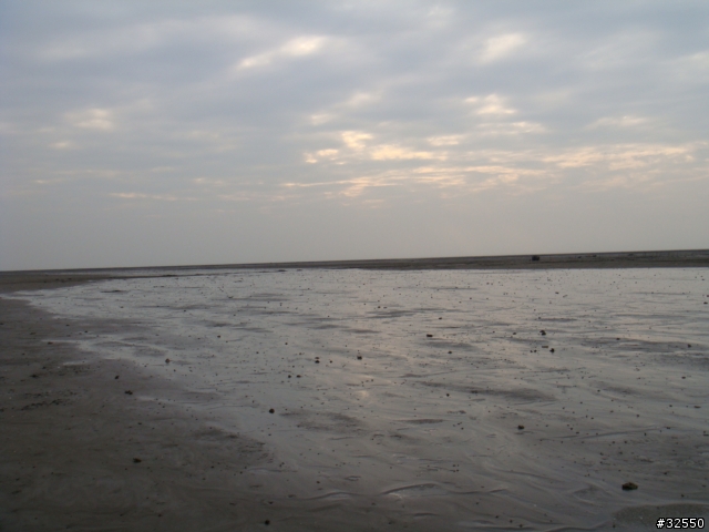 [試拍]Sony DSC-T2 VS Sony DSC-W1