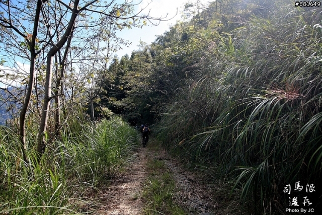 司馬限林道後段