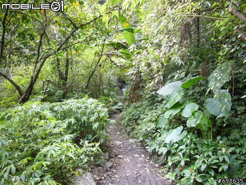 在西坑林道渡過一個悠閒的午後