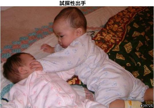 性侵害全程實錄（18禁）