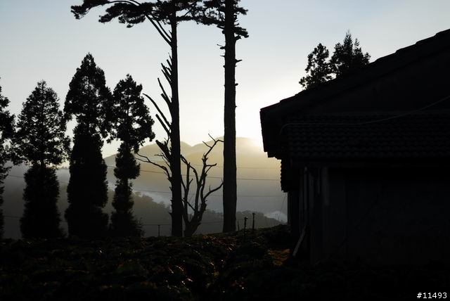 [ 秋 ] 福壽山之旅