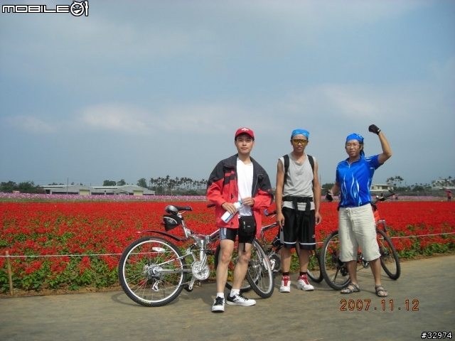 台中太原車站至新社花海之遊36km