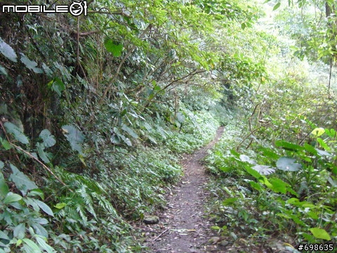 在西坑林道渡過一個悠閒的午後