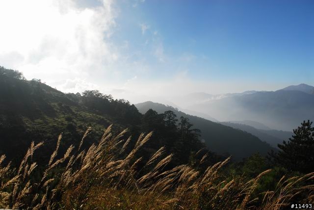 [ 秋 ] 福壽山之旅