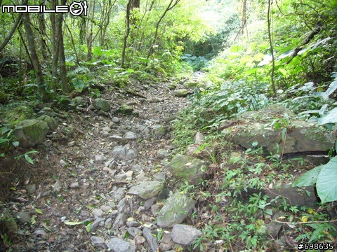 在西坑林道渡過一個悠閒的午後