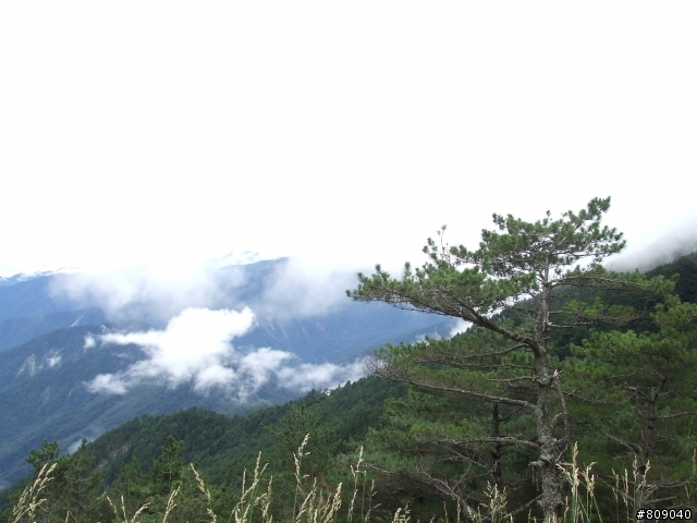 [分享]南橫一日遊