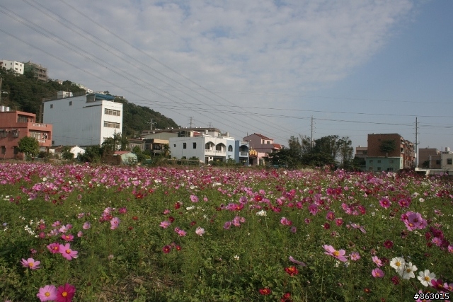 [分享]2007/12/16_板橋-->鶯歌-->大溪-->三峽-->板橋單車一日遊