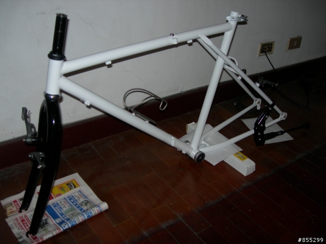 Dahon 古典鋼管大折車大改造 V1 以及V2 完整版