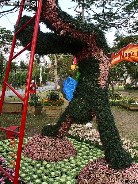 大安森林公園花卉展~賞花‧台北就有了