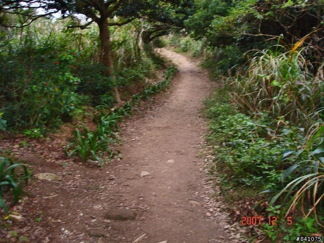 觀音山硬漢嶺(標高612公尺)