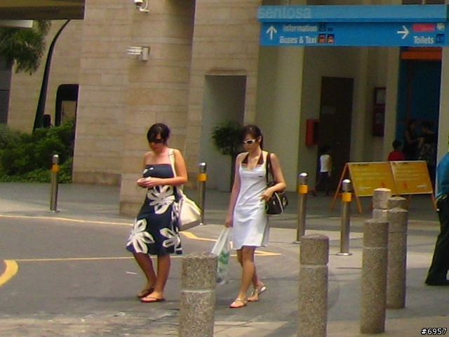 [票選] 竹蜻蜓新加坡秘書候選人照片12/19