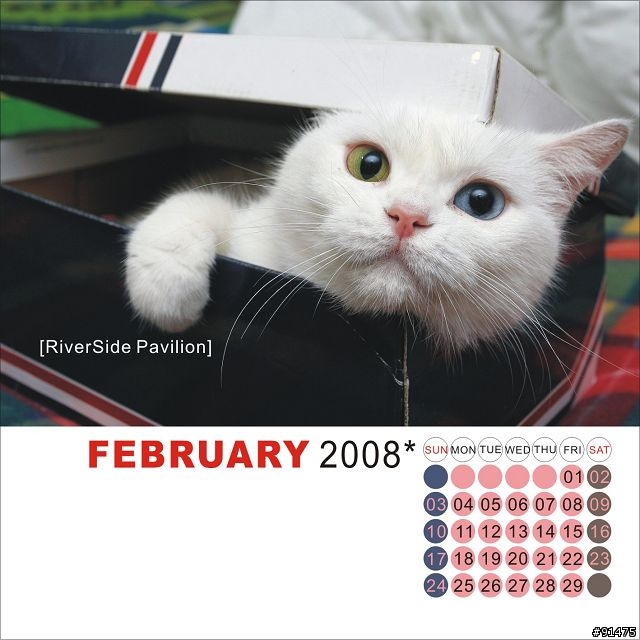 [意見募集]貓月曆最終測試版(2008/07/09更新)