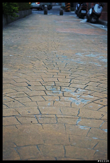 中和~鶯歌自行車道 路面寫真 (圖多)