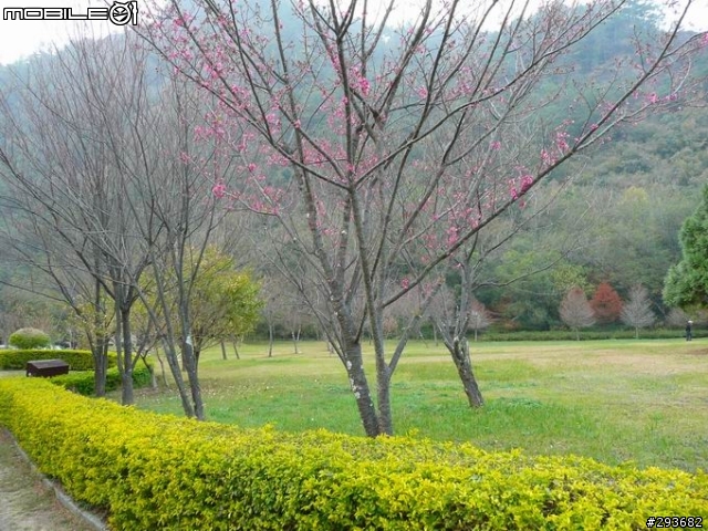 清境武嶺團～～照片在這兒