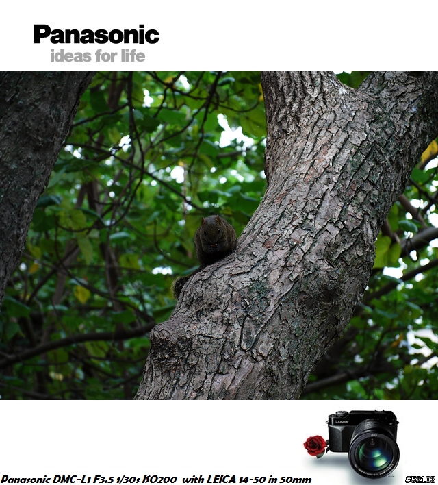 炒冷飯!Panasonic DMC-L1便宜入手簡易開箱文[已新增實拍照]