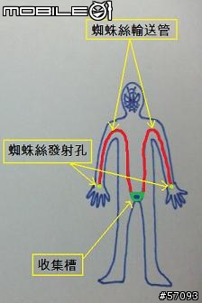 [未公開的秘密]--蜘蛛人