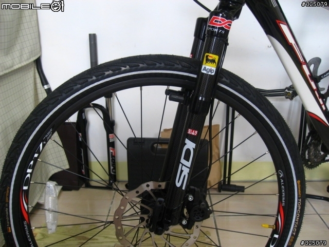 分享Carbon硬前叉+Selle XC座墊.