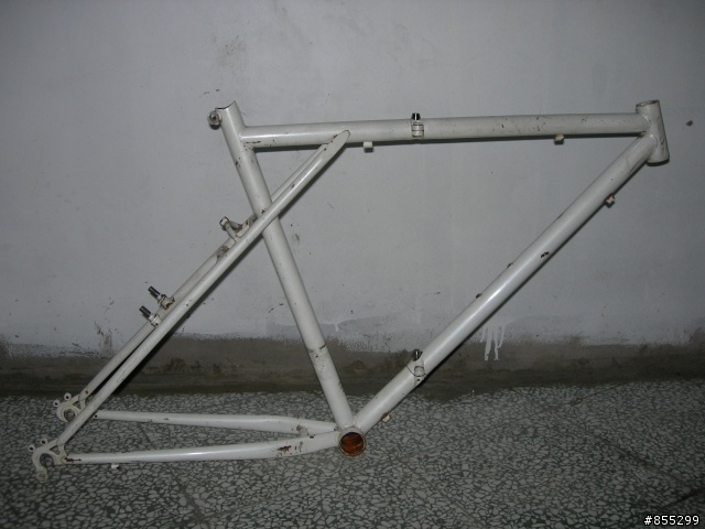 Dahon 古典鋼管大折車大改造 Part-1 脫掉舊衣服