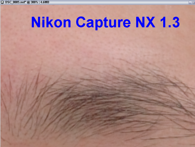 [分享]Nikon Capture NX在demosaic的缺陷?