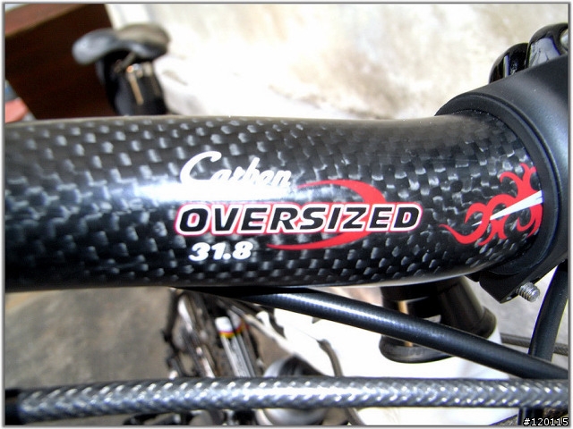 [分享]自組車 MERIDA LRS MISSION 2000