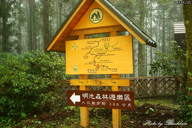 明池國家森林遊樂區