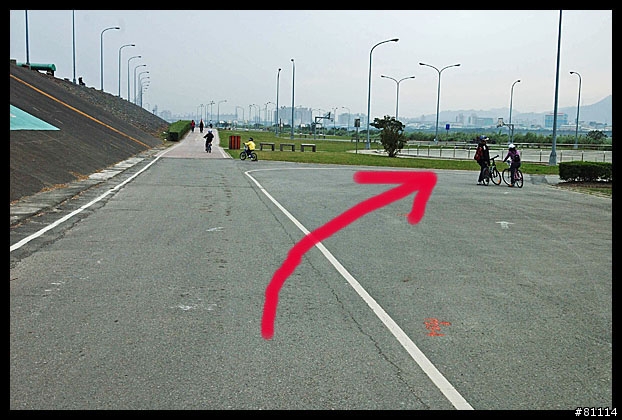 中和~鶯歌自行車道 路面寫真 (圖多)