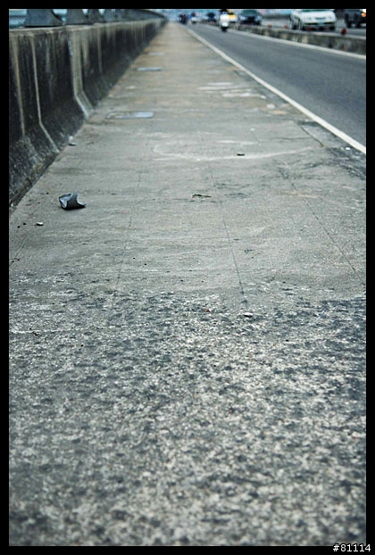 中和~鶯歌自行車道 路面寫真 (圖多)
