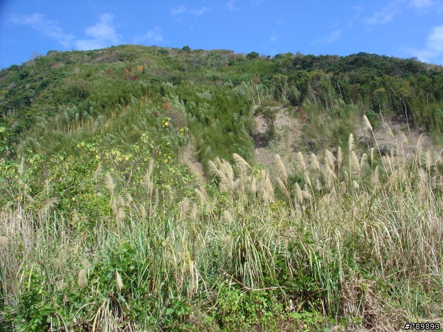 偉大的航道-新竹竹蜻蜓車隊-宇老、玉峰、北橫、羅馬公路大滿貫