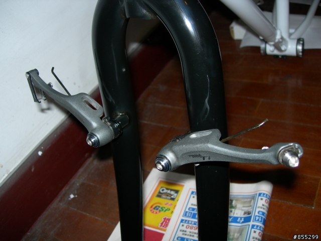 Dahon 古典鋼管大折車大改造 V1 以及V2 完整版
