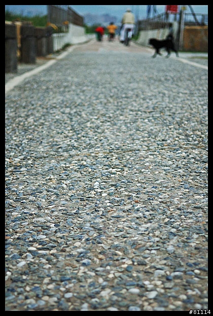中和~鶯歌自行車道 路面寫真 (圖多)