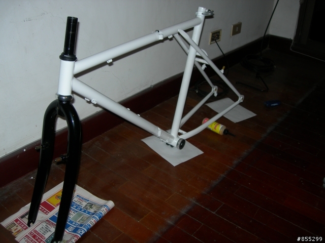 Dahon 古典鋼管大折車大改造 V1 以及V2 完整版